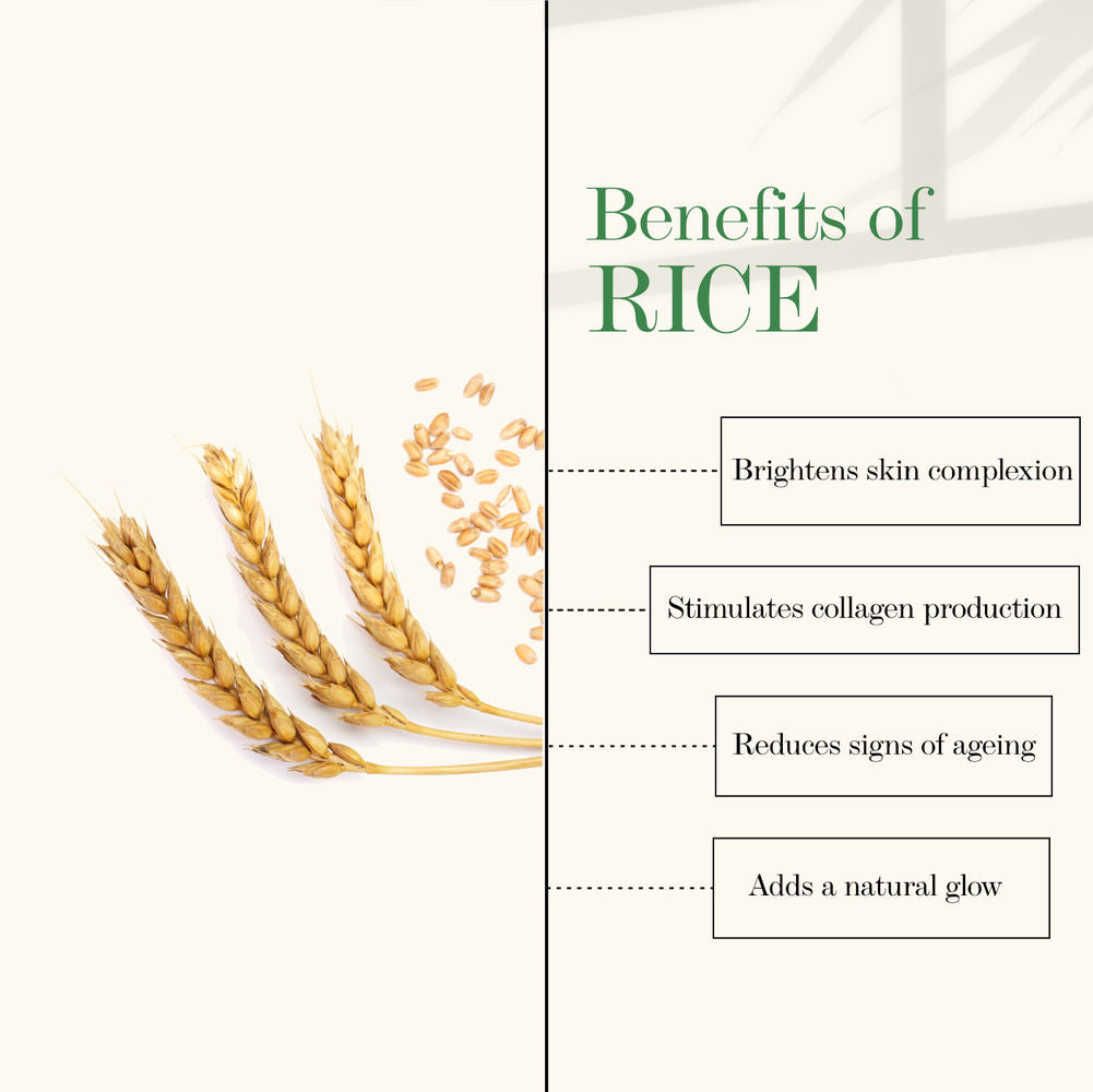 Good Vibes Rice Brightening Toner