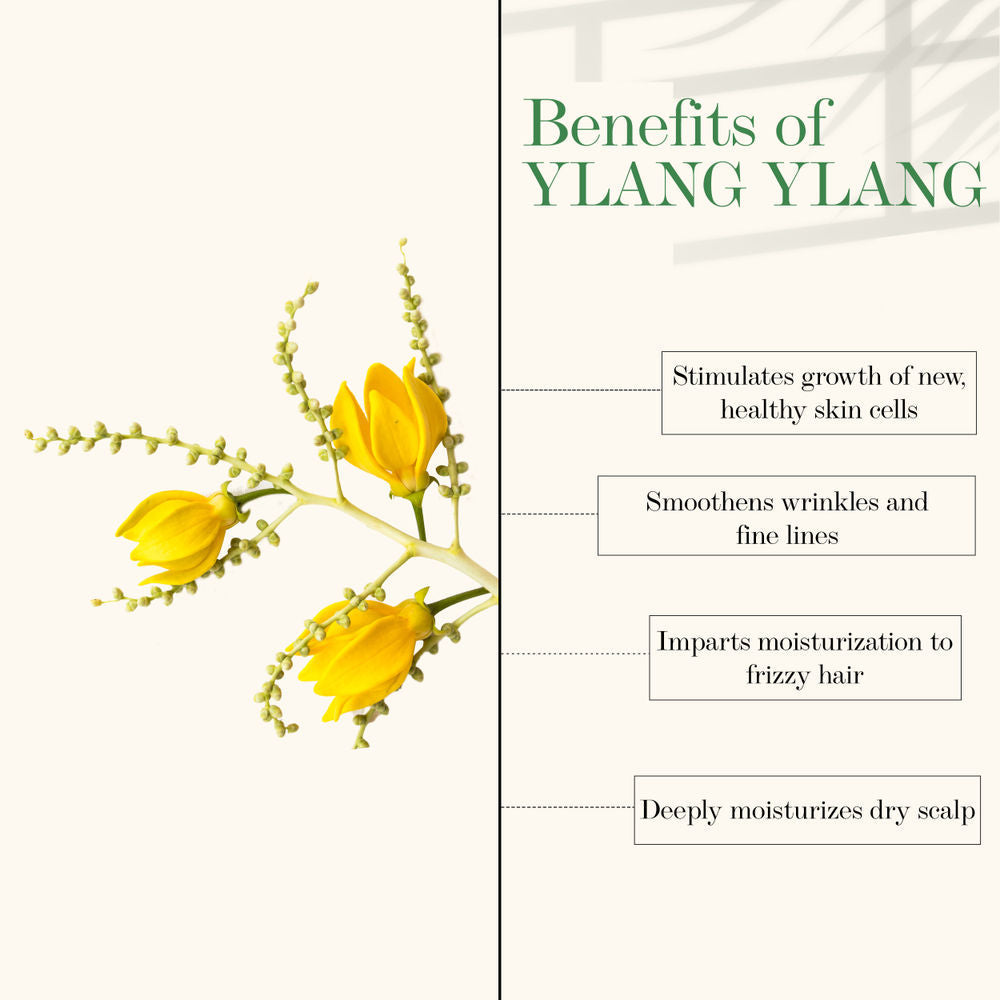 Good Vibes Ylang Ylang 100% Natural Blended Essential Oil