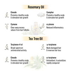 Keya Seth Aromatherapy Alopex Long N Strong Hair Oil