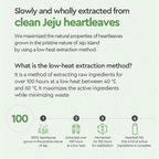 Dewytree Heartleaf 100 Korean Cream Eye Cream
