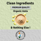 Jus Amazin Amla Powder Superfood - Distacart