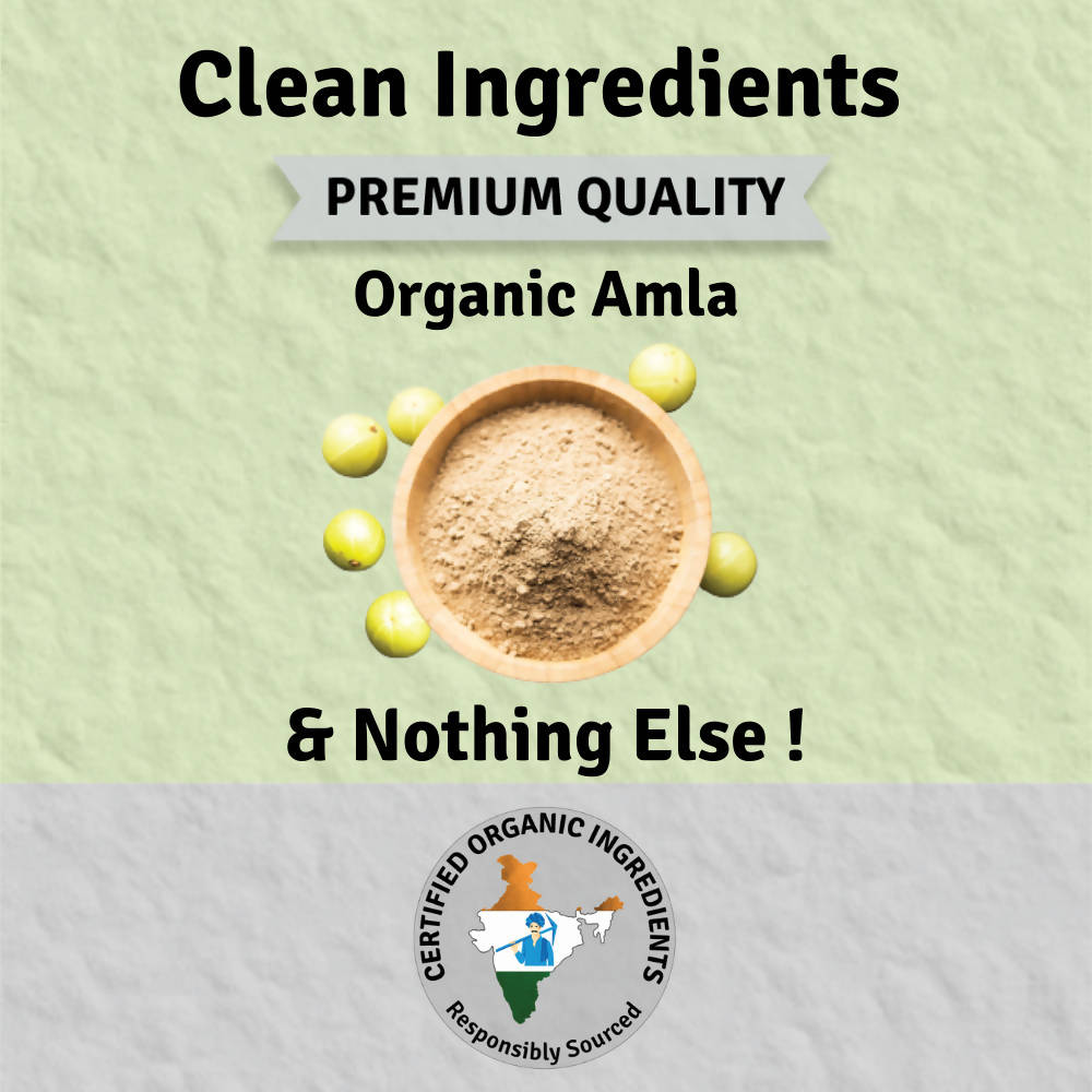 Jus Amazin Amla Powder Superfood - Distacart