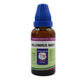 Father Muller Helleborus Niger Mother Tincture Q - Distacart