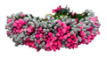 Pink & Silver Pollens Bridal Hair Gajra - Distacart