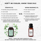 Bella Vita Organic Eucalyptus Essential Oil