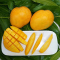 Banganapalli Mangoes - Distacart