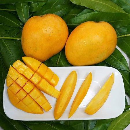 Banginapalli Mangoes / Benishan / Chappatai / Safeda / Badam Aam