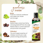 Globus Naturals Amla Reetha Shikakai Shampoo