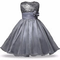 Asmaani Baby Girl Grey Color Satin A-Line Maxi Full Length Dress (AS-DRESS-22049)