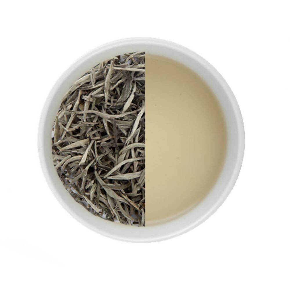 Tea Sense Silver Needle White Tea - Distacart