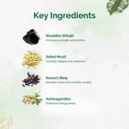 Dr. Vaidya's SJ Plus Capsules - Distacart