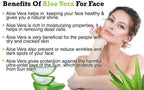 Online Quality Store Natural Aloe Vera Gel Green
