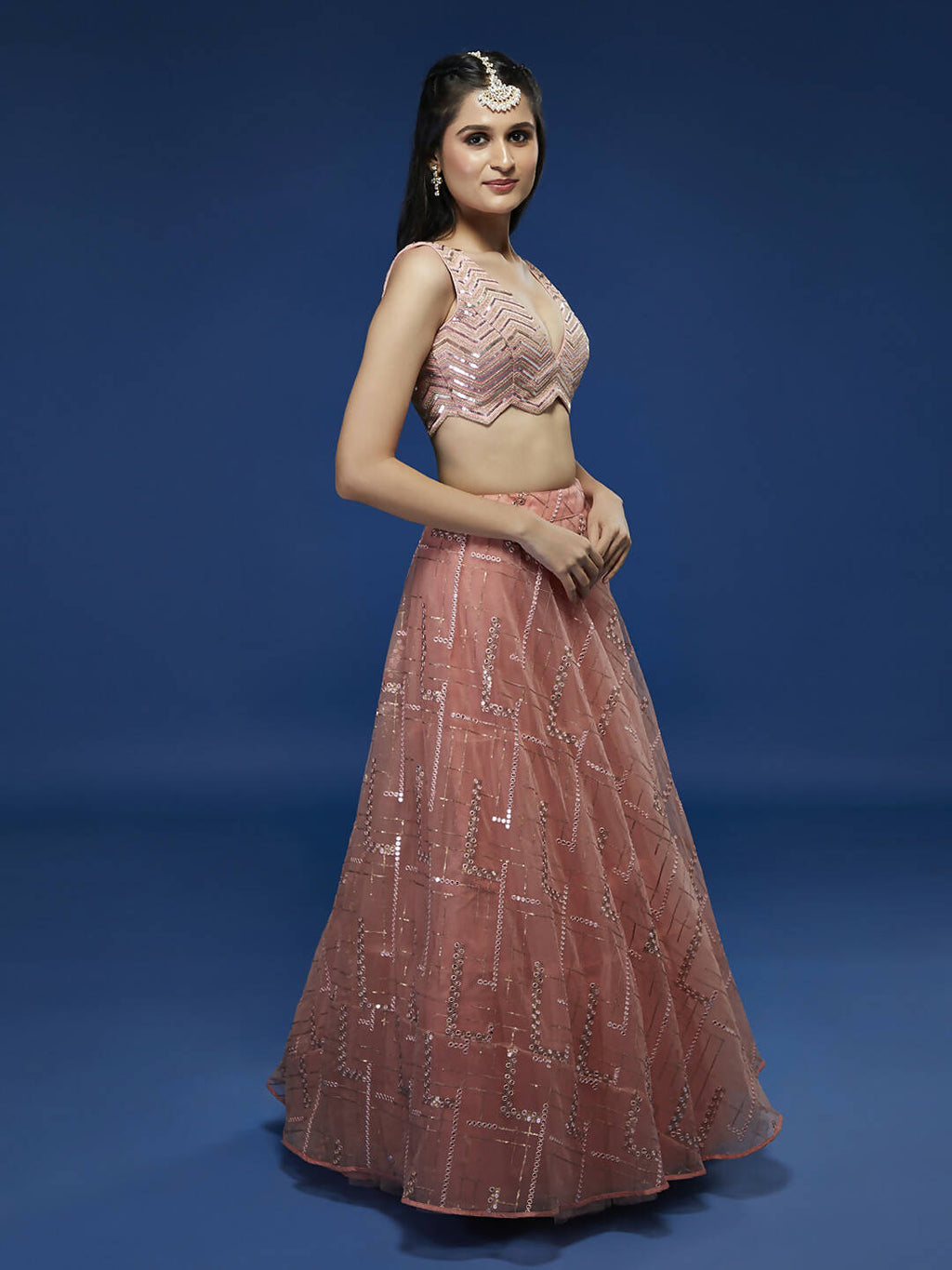 House of Panchhi Peach Net Sequinse Embroidered Lehenga & Blouse with Dupatta