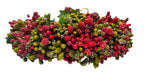 Green & Red Pollens Bridal Hair Gajra