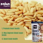 Paiya Organics Lebanese Pine Nuts - Distacart