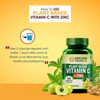 Himalayan Plant Based Vitamin C + Zinc Double ImmunHimalayan Organics Plant Based Vitamin C + Zinc Double Immune Support: 120 Vegetarian Capsulese Support: 120 Vegetarian Capsules