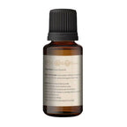 Korus Essential Ginger Essential Oil - Therapeutic Grade - Distacart