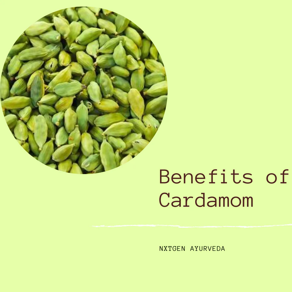 Nxtgen Ayurveda Elaichi (Cardamom) Bold