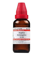 Dr. Willmar Schwabe India Angelica Archangelica Dilution