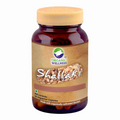 Organic Wellness Shallaki Capsules - Distacart