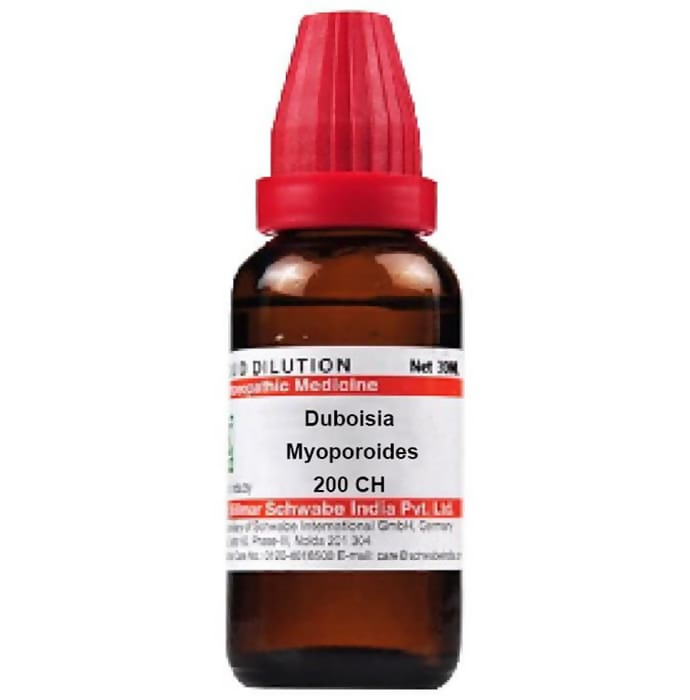 Dr. Willmar Schwabe India Duboisia Myoporoides Dilution