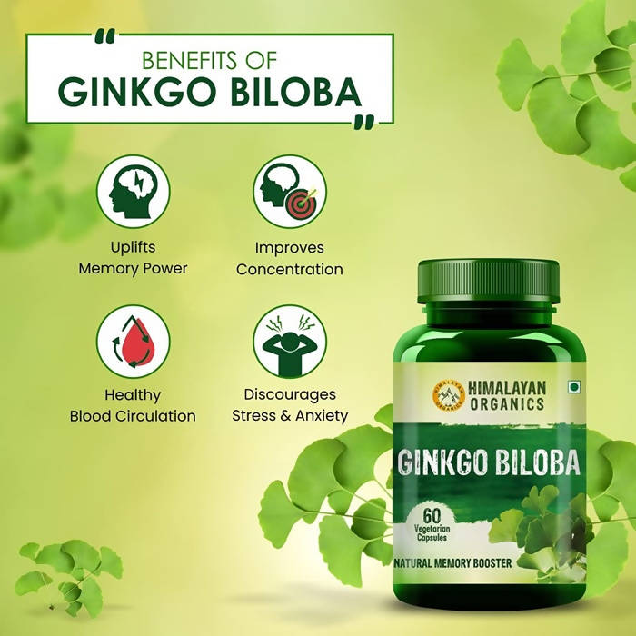 Himalayan Organics Ginkgo Biloba, Natural
