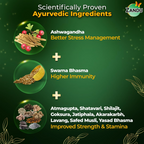 Zandu Ashwagandha Gold Plus Capsules - Distacart