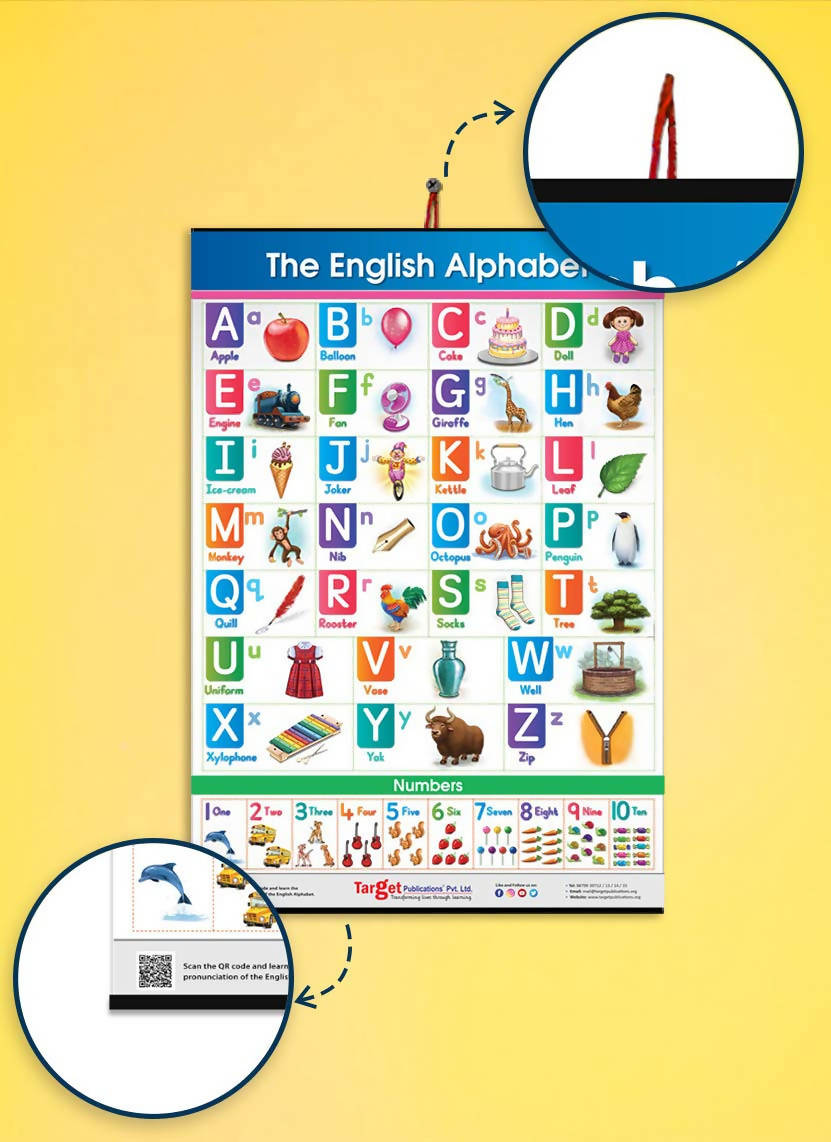 Jumbo English Alphabet and Numbers Chart for Kids