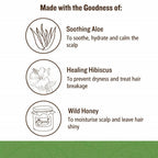 Soultree Hair Conditioner