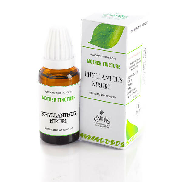 Similia Homeopathy Phyllanthus Niruri Mother Tincture Q