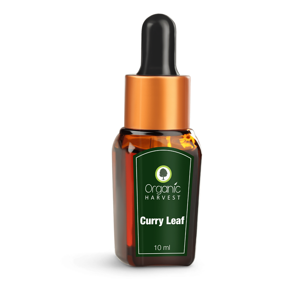 Organic Harvest Curry Leaf Essential Oil