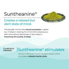 Wellbeing Nutrition Melts Calm & Relaxation Oral Strips-Soothing Mango Flavor - Distacart