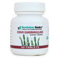 Navchetana Kendra Cissus Quadrangularis Extract Tablets - Distacart