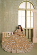 Eilara Classical Khaki Net A - Line Lehenga Choli