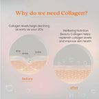 Wellbeing Nutrition Beauty Korean Marine Collagen Peptides-Mango Peach Flavor - Distacart