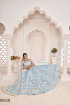 Eilara Women'S Sky Blue Butterfly Net Embroidered Thread Work Festivals Lehenga Choli
