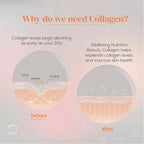 Wellbeing Nutrition Glow Korean Marine & Beauty Collagen Combo: Tropical Bliss & Mango Peach Flavor