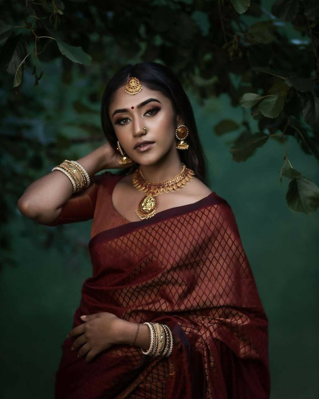 DEIANA'S Beautiful Designer Golden zari Soft Lichi Silk Saree - Brown