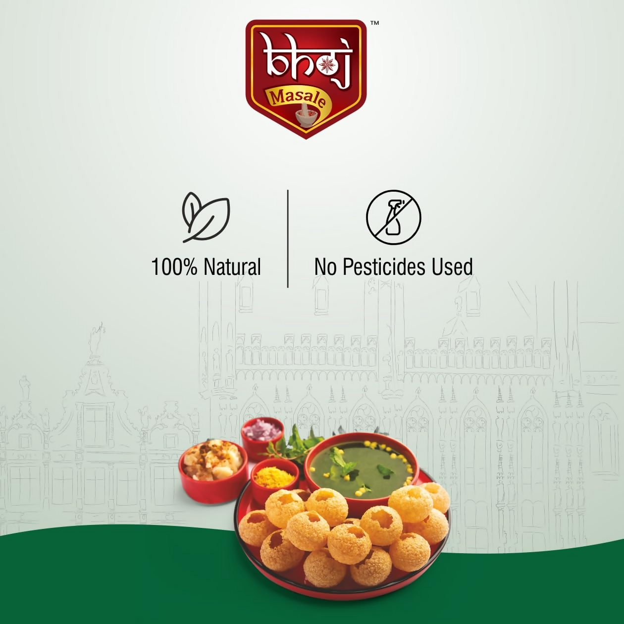 Bhoj Masale Panipuri Masala - Distacart