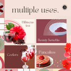 Organic Ayurvedistan Hibiscus Powder - Distacart