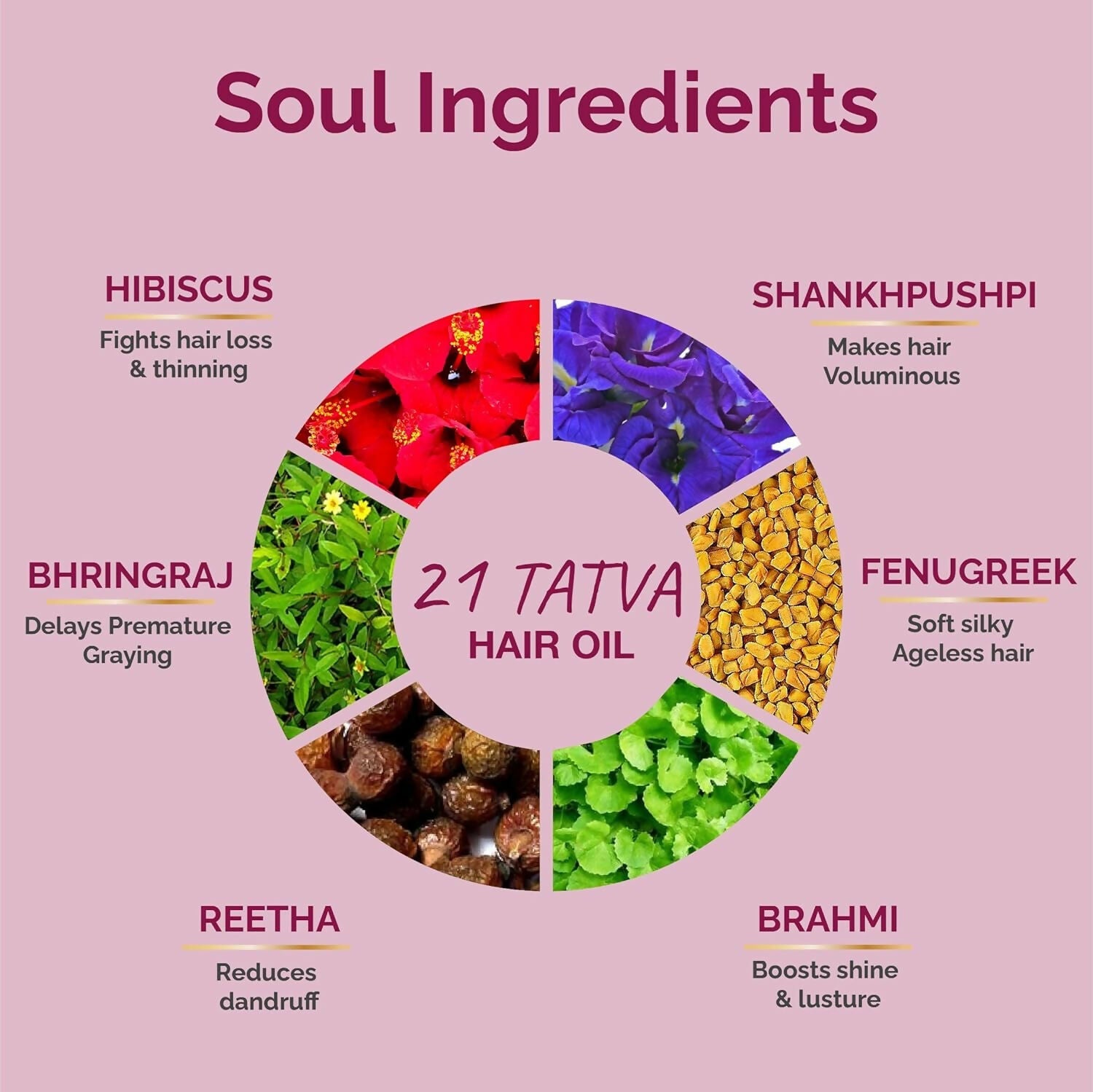 Vedic Valley Ayurvedic 21 Tatva Hair Brew Oil with 21 Herbs & Refill Combo