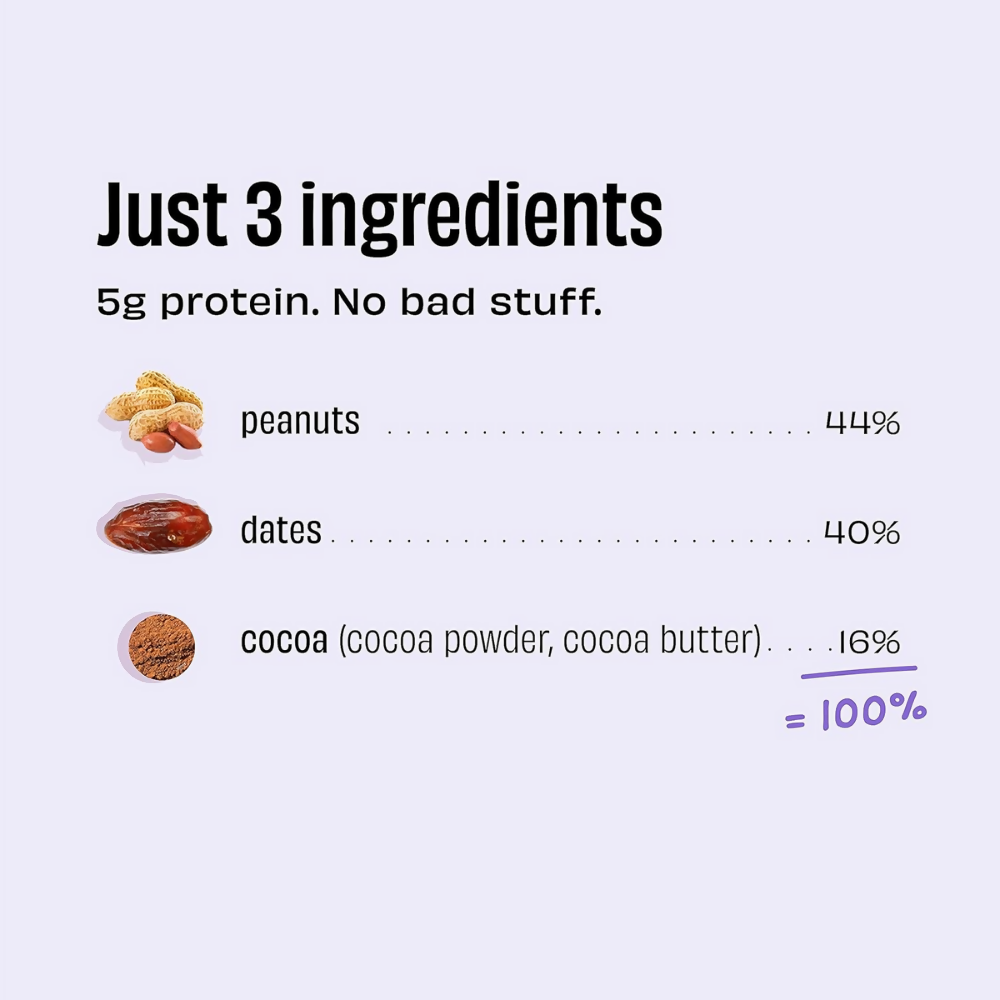 The Whole Truth Energy Bars - Peanut Choco Fudge - Distacart