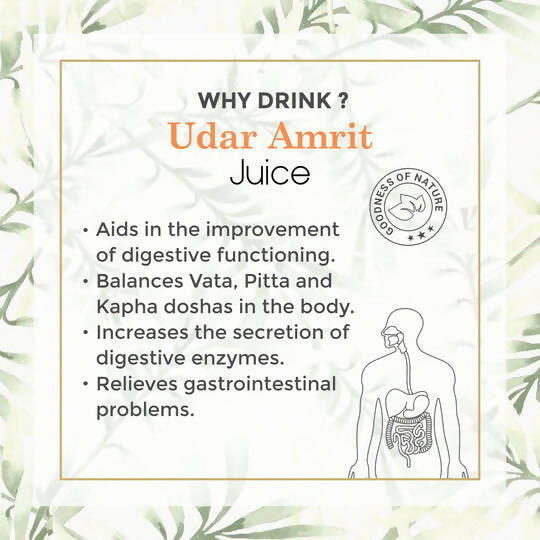Four Seasons Udar Amrit Juice - Distacart