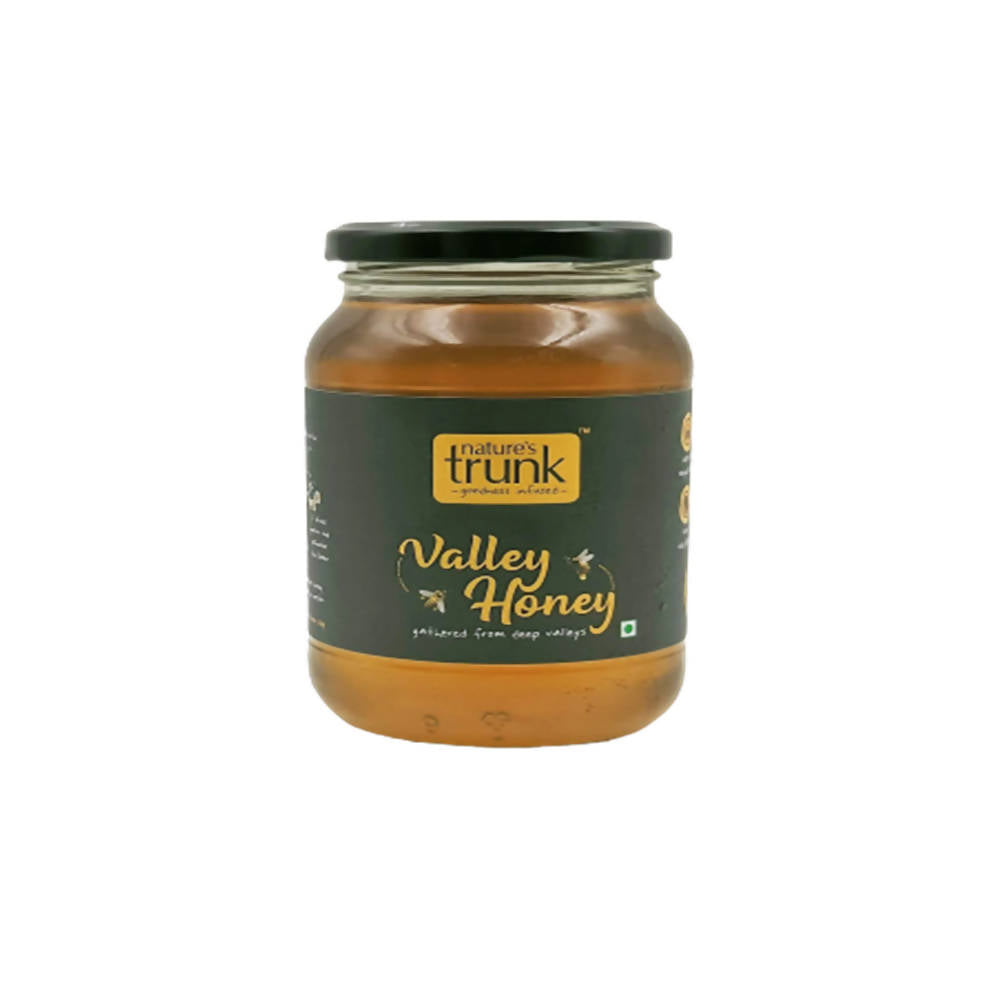 Nature's Trunk Valley Honey