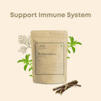 Shivamastu Ayurveda Wellnessbrew Herbal Tea - Distacart