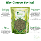 Yuvika Sonf Choti - Saunf Barik - Foeniculum Vulgare - Fennel Seeds Small - Distacart