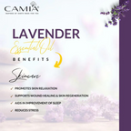Camia Organic Lavender Essential Oil