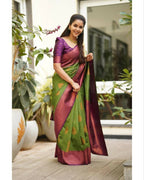 DEIANA'S Beautiful Designer Golden zari Soft Lichi Silk Saree - Green