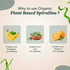 Neuherbs Organic Spirulina Tablets