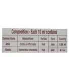 Patanjali Karela Amla Juice (500 ML) - Distacart